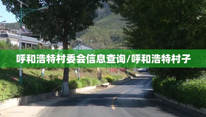 呼和浩特村委会信息查询/呼和浩特村子