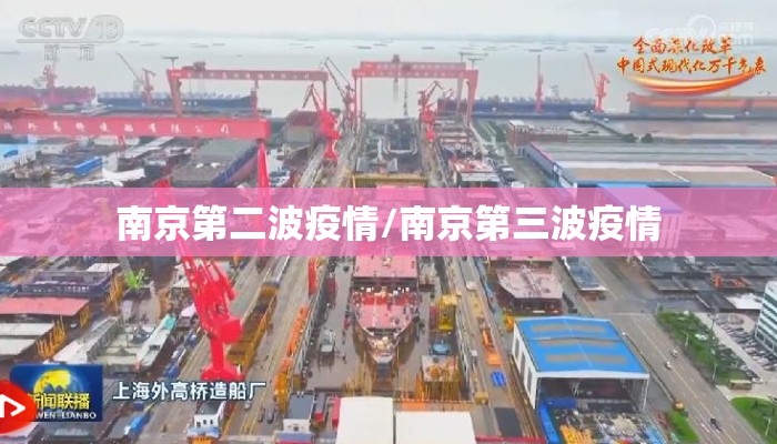 南京第二波疫情/南京第三波疫情
