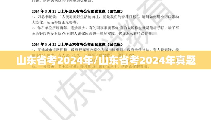 山东省考2024年/山东省考2024年真题 山东省考2024年/山东省考2024年真题