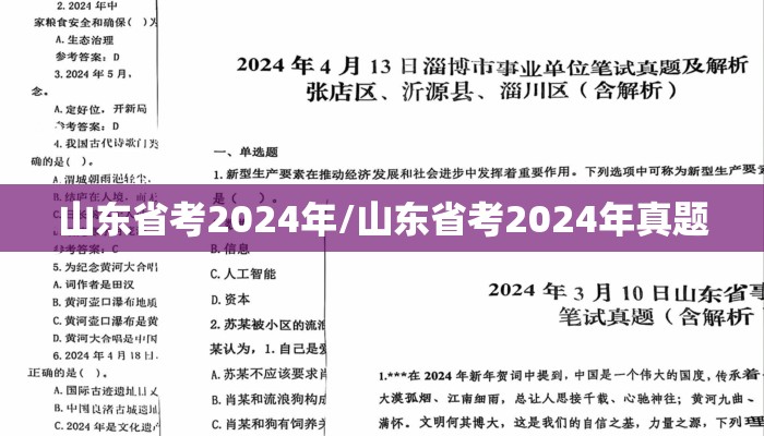 山东省考2024年/山东省考2024年真题 山东省考2024年/山东省考2024年真题
