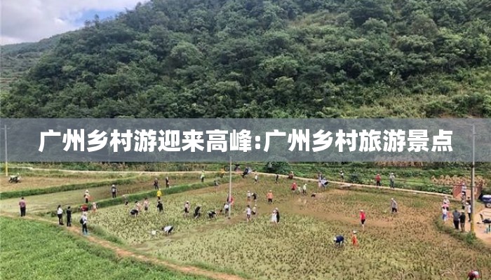 广州乡村游迎来高峰:广州乡村旅游景点