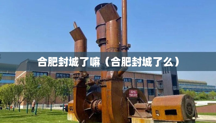 合肥封城了嘛（合肥封城了么）