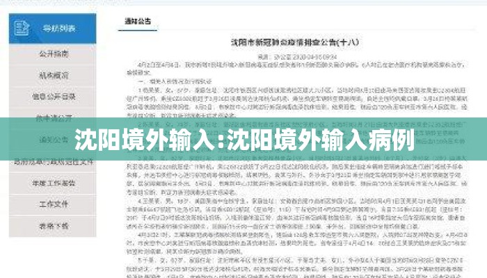 沈阳境外输入:沈阳境外输入病例