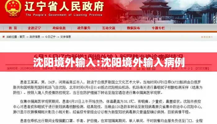 沈阳境外输入:沈阳境外输入病例 沈阳境外输入:沈阳境外输入病例