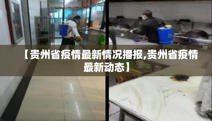 【贵州省疫情最新情况播报,贵州省疫情最新动态】