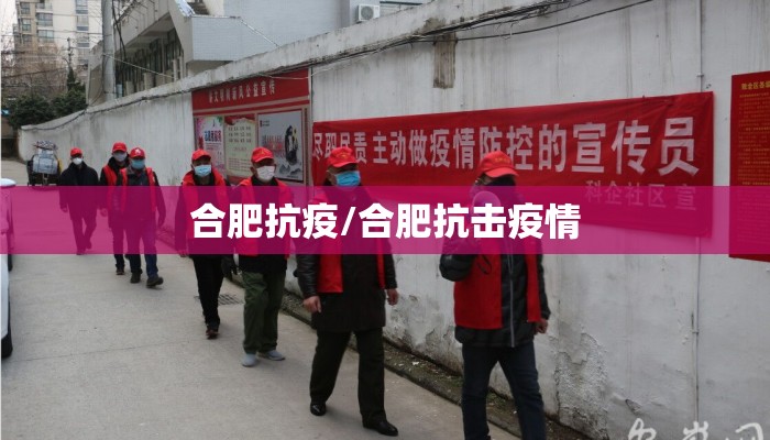 合肥抗疫/合肥抗击疫情