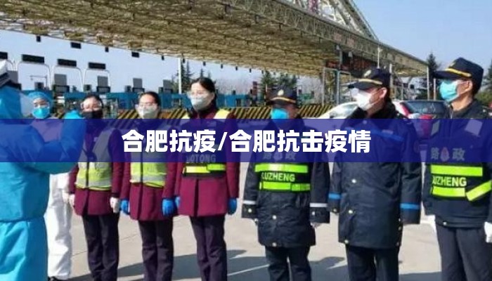 合肥抗疫/合肥抗击疫情 合肥抗疫/合肥抗击疫情