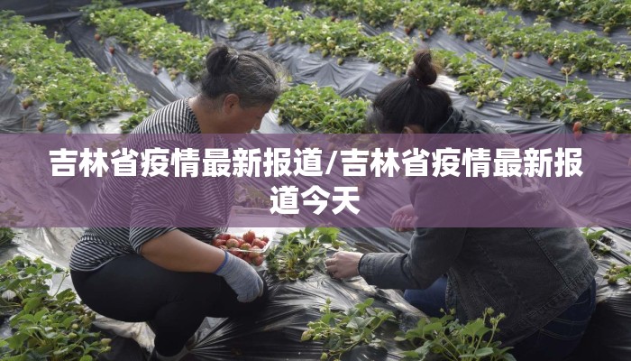 吉林省疫情最新报道/吉林省疫情最新报道今天 吉林省疫情最新报道/吉林省疫情最新报道今天