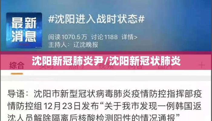 沈阳新冠肺炎尹/沈阳新冠状肺炎