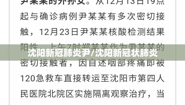 沈阳新冠肺炎尹/沈阳新冠状肺炎