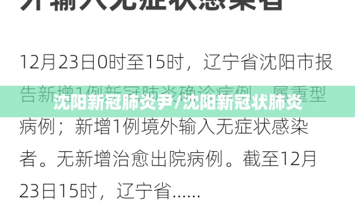 沈阳新冠肺炎尹/沈阳新冠状肺炎