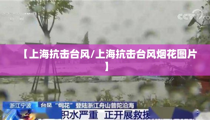 【上海抗击台风/上海抗击台风烟花图片】