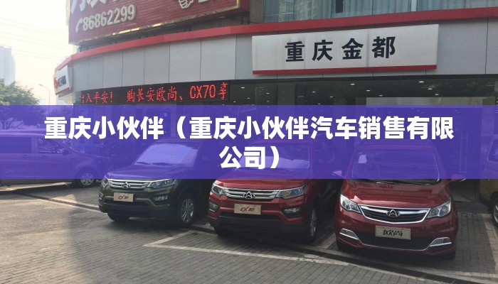重庆小伙伴（重庆小伙伴汽车销售有限公司）